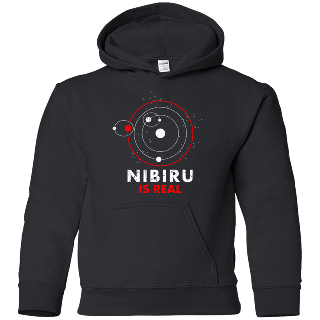 Sweatshirts Black / YS Nibiru is Real Youth Hoodie