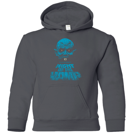 Sweatshirts Charcoal / YS Night Vamp Youth Hoodie