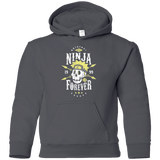 Sweatshirts Charcoal / YS Ninja Forever Youth Hoodie
