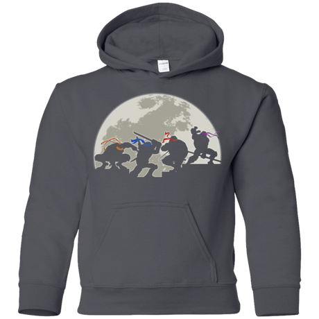 Sweatshirts Charcoal / YS Ninja Youth Hoodie