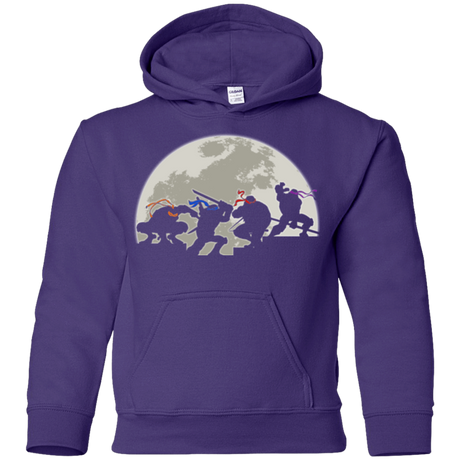 Sweatshirts Purple / YS Ninja Youth Hoodie