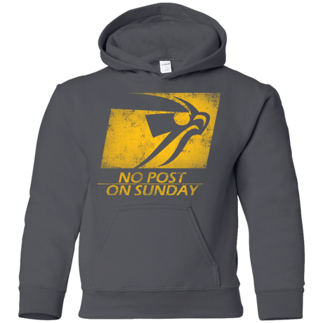 Sweatshirts Charcoal / YS No Post On Sunday Youth Hoodie