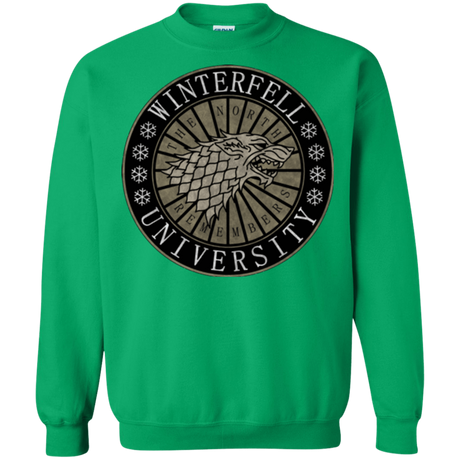 Sweatshirts Irish Green / Small North university Crewneck Sweatshirt