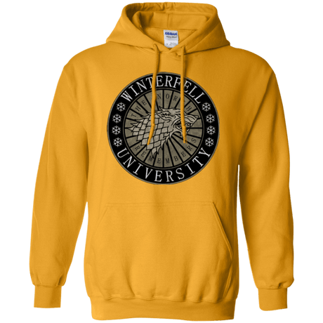 Sweatshirts Gold / Small North university Pullover Hoodie