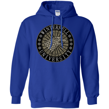 Sweatshirts Royal / Small North university Pullover Hoodie