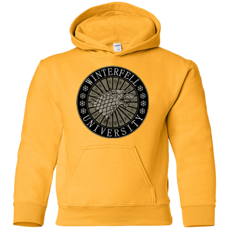 Sweatshirts Gold / YS North university Youth Hoodie