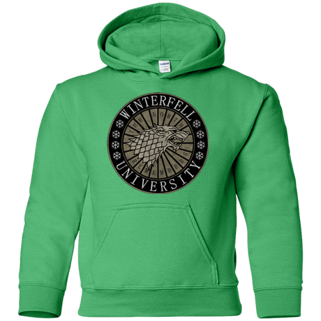 Sweatshirts Irish Green / YS North university Youth Hoodie