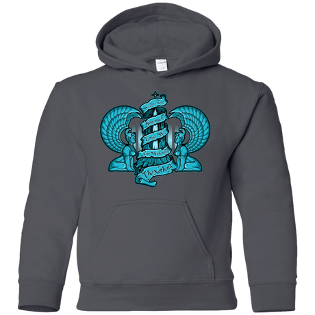Sweatshirts Charcoal / YS NORTHERN ORACLE Youth Hoodie