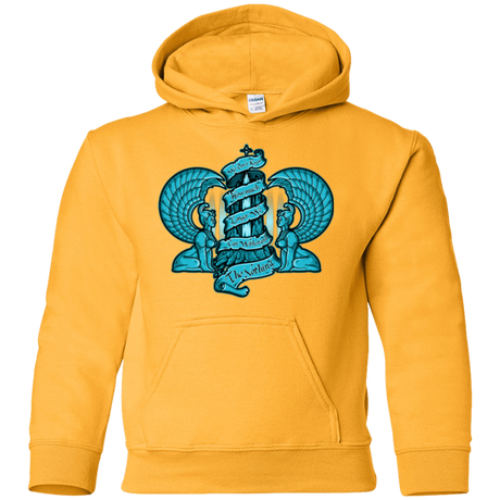 Sweatshirts Gold / YS NORTHERN ORACLE Youth Hoodie