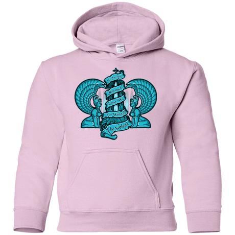Sweatshirts Light Pink / YS NORTHERN ORACLE Youth Hoodie