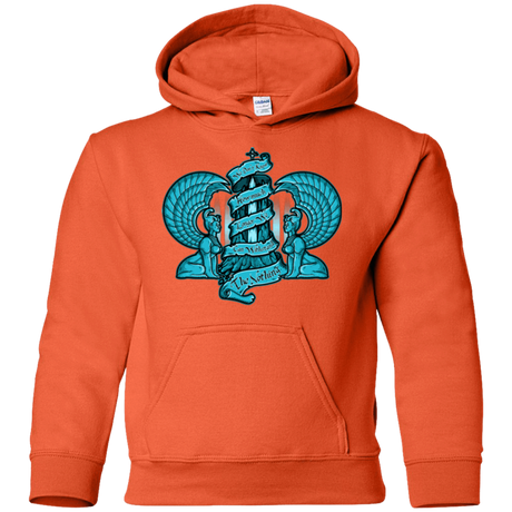 Sweatshirts Orange / YS NORTHERN ORACLE Youth Hoodie