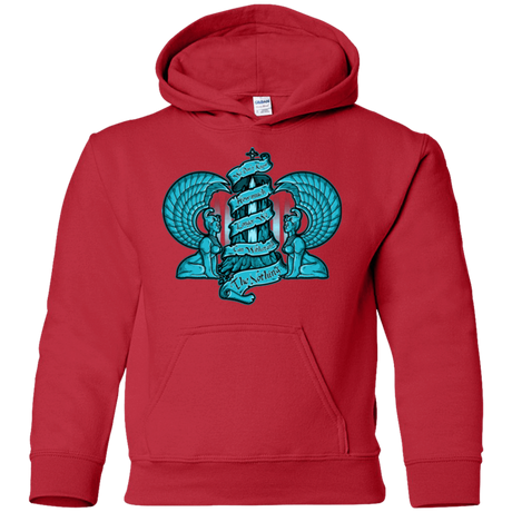 Sweatshirts Red / YS NORTHERN ORACLE Youth Hoodie