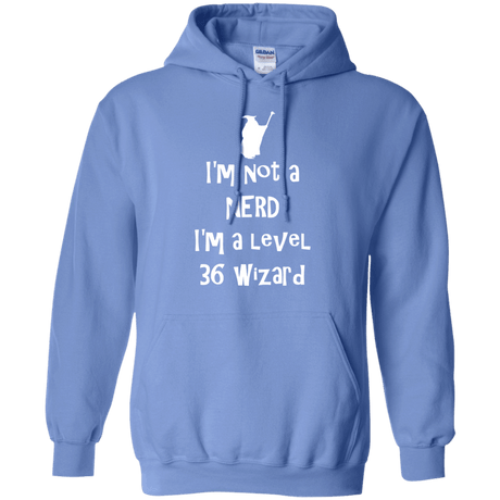 Sweatshirts Carolina Blue / S Not a Nerd Pullover Hoodie