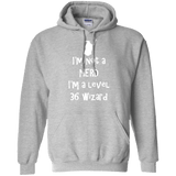 Sweatshirts Sport Grey / S Not a Nerd Pullover Hoodie