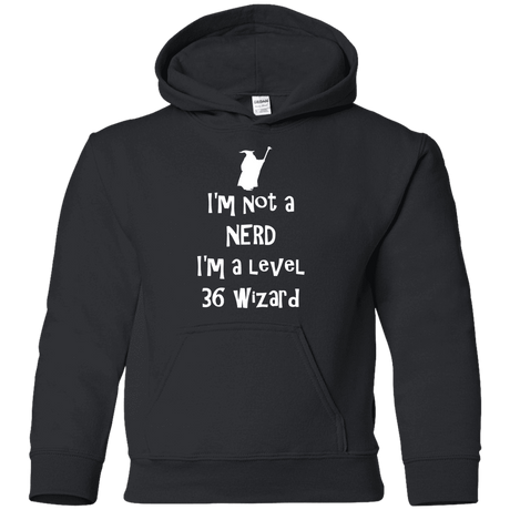 Sweatshirts Black / YS Not a Nerd Youth Hoodie