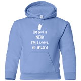 Sweatshirts Carolina Blue / YS Not a Nerd Youth Hoodie