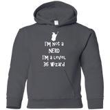 Sweatshirts Charcoal / YS Not a Nerd Youth Hoodie