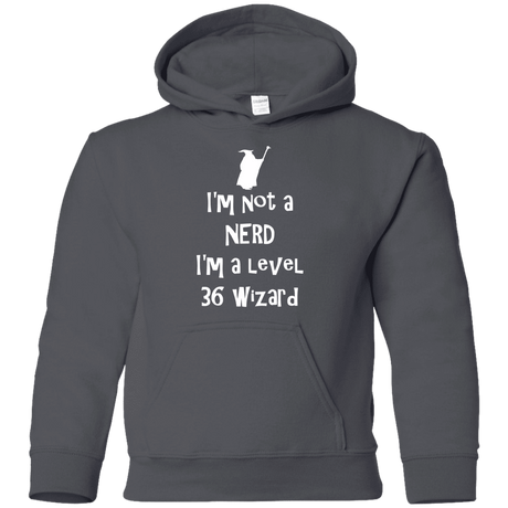 Sweatshirts Charcoal / YS Not a Nerd Youth Hoodie