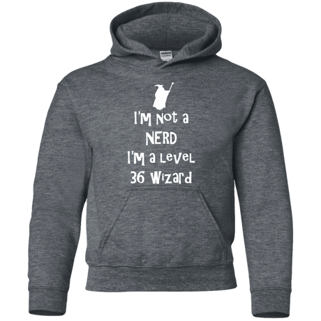 Sweatshirts Dark Heather / YS Not a Nerd Youth Hoodie