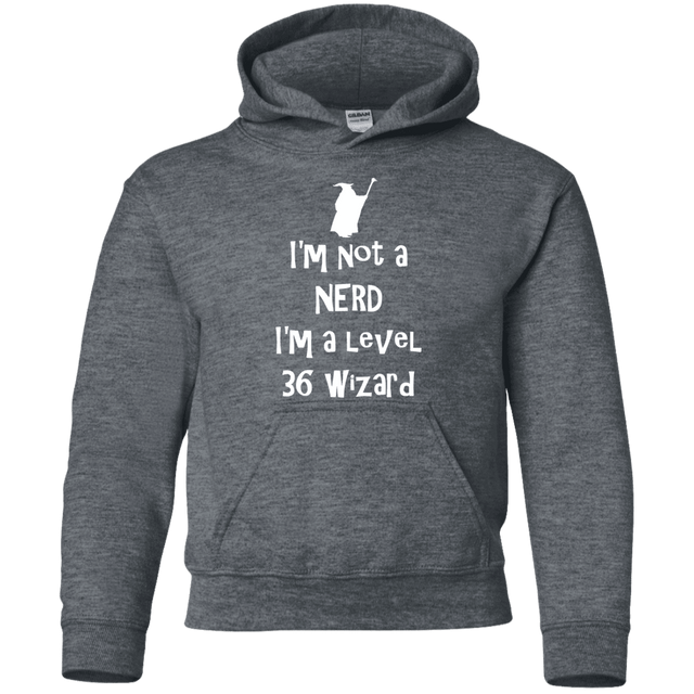 Sweatshirts Dark Heather / YS Not a Nerd Youth Hoodie