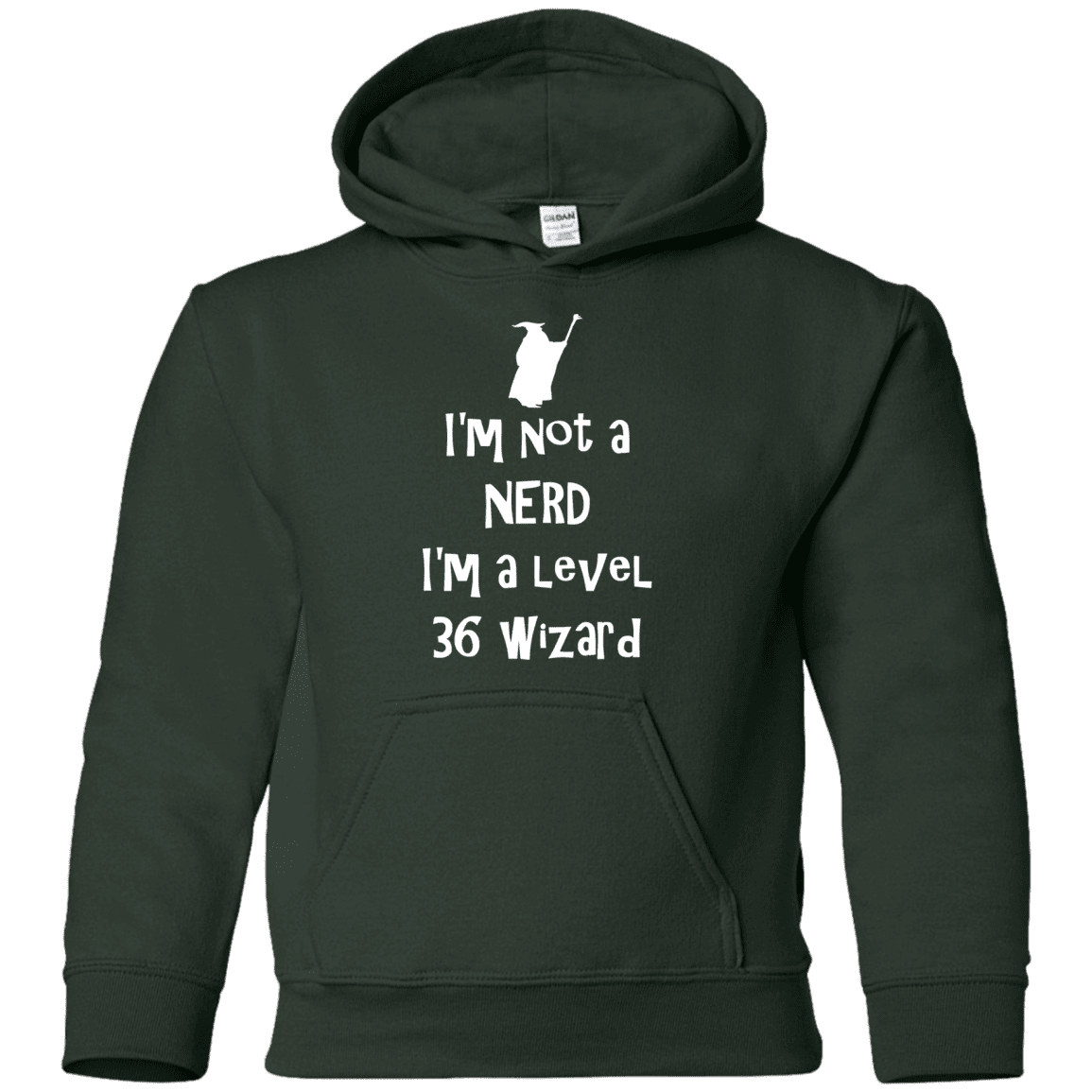 Sweatshirts Forest Green / YS Not a Nerd Youth Hoodie