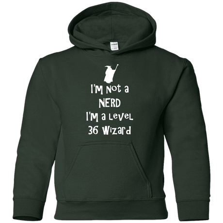 Sweatshirts Forest Green / YS Not a Nerd Youth Hoodie