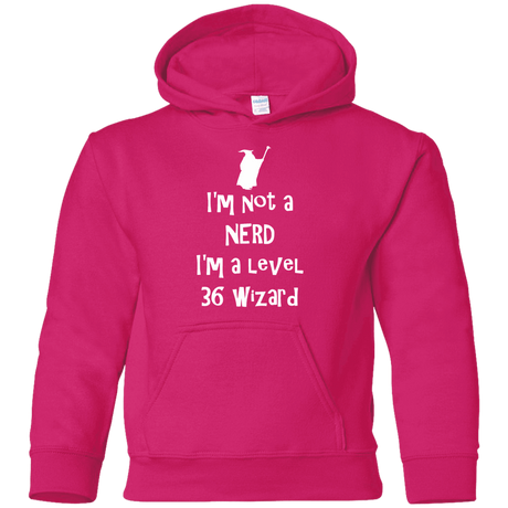 Sweatshirts Heliconia / YS Not a Nerd Youth Hoodie