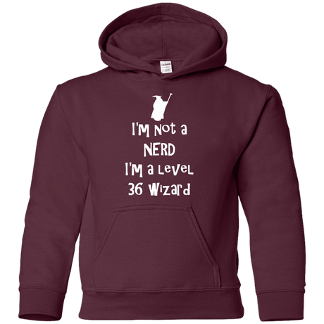 Sweatshirts Maroon / YS Not a Nerd Youth Hoodie
