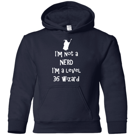 Sweatshirts Navy / YS Not a Nerd Youth Hoodie