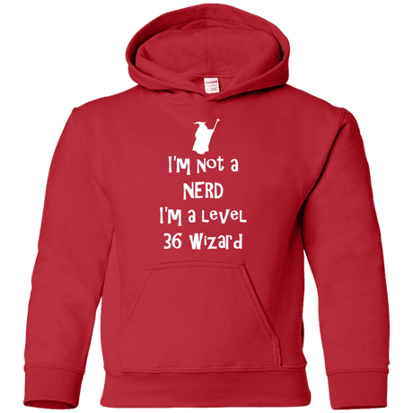 Sweatshirts Red / YS Not a Nerd Youth Hoodie