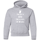 Sweatshirts Sport Grey / YS Not a Nerd Youth Hoodie