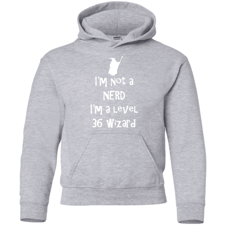 Sweatshirts Sport Grey / YS Not a Nerd Youth Hoodie