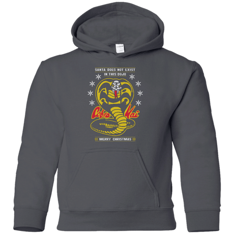 Sweatshirts Charcoal / YS NOT IN THIS DOJO Youth Hoodie
