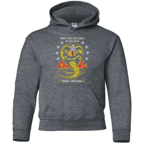 Sweatshirts Dark Heather / YS NOT IN THIS DOJO Youth Hoodie