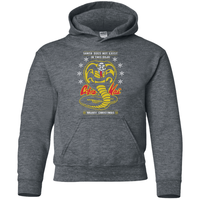 Sweatshirts Dark Heather / YS NOT IN THIS DOJO Youth Hoodie