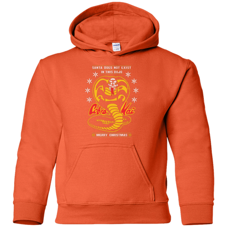 Sweatshirts Orange / YS NOT IN THIS DOJO Youth Hoodie
