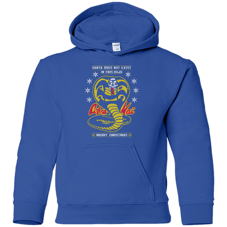 Sweatshirts Royal / YS NOT IN THIS DOJO Youth Hoodie