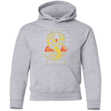 Sweatshirts Sport Grey / YS NOT IN THIS DOJO Youth Hoodie