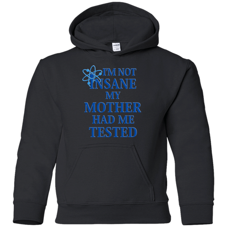 Sweatshirts Black / YS Not insane Youth Hoodie