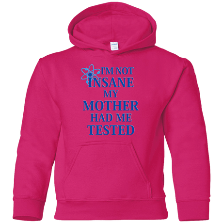 Sweatshirts Heliconia / YS Not insane Youth Hoodie