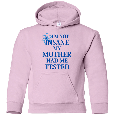 Sweatshirts Light Pink / YS Not insane Youth Hoodie