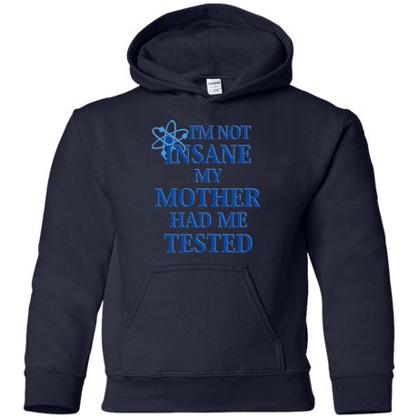 Sweatshirts Navy / YS Not insane Youth Hoodie