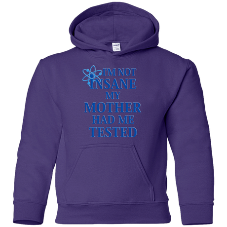 Sweatshirts Purple / YS Not insane Youth Hoodie