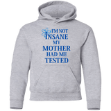 Sweatshirts Sport Grey / YS Not insane Youth Hoodie
