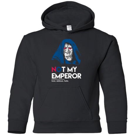 Sweatshirts Black / YS Not my Emperor Youth Hoodie
