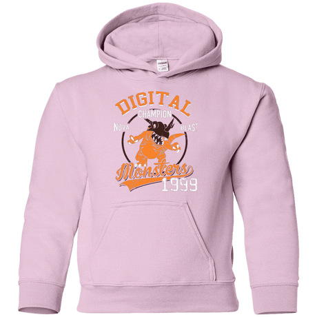 Sweatshirts Light Pink / YS Nova Blast Youth Hoodie