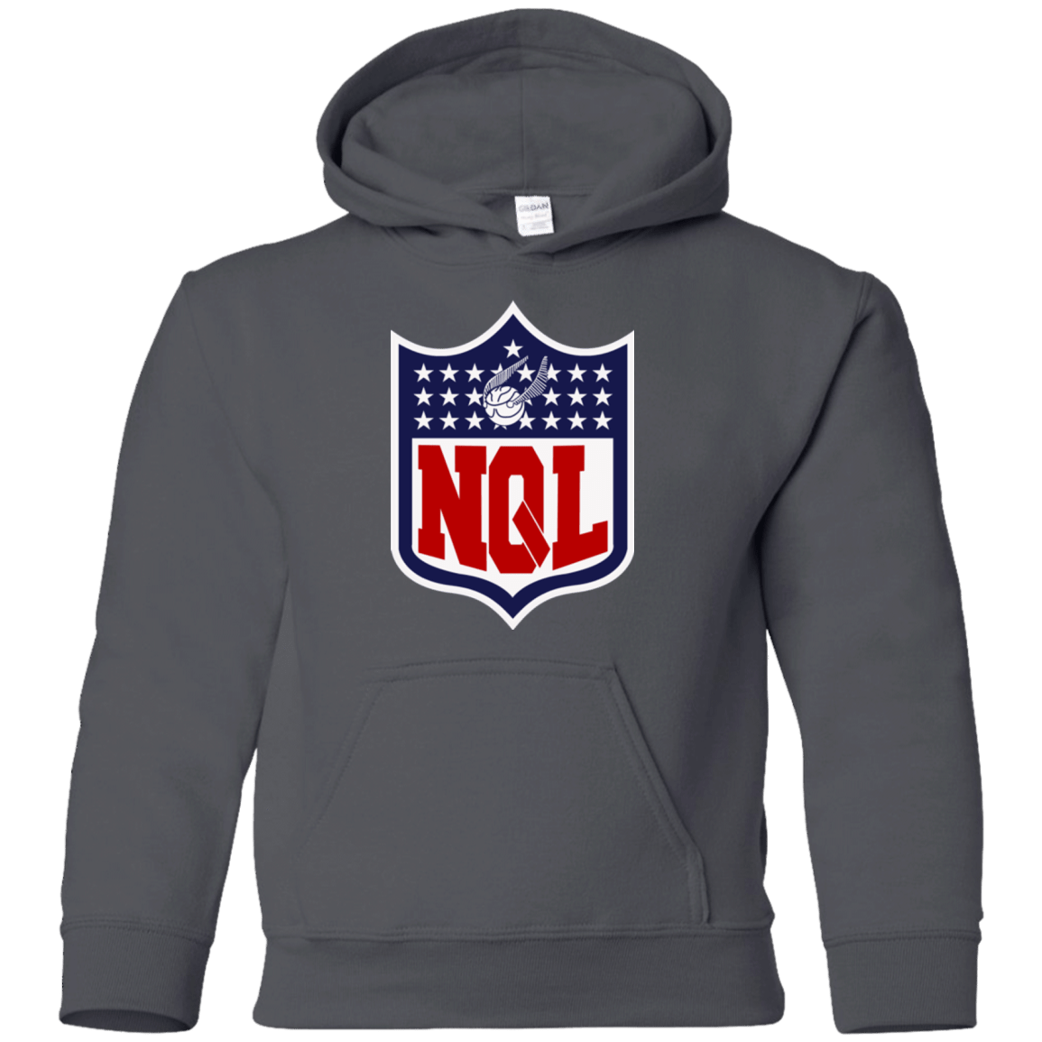 Sweatshirts Charcoal / YS NQL Youth Hoodie