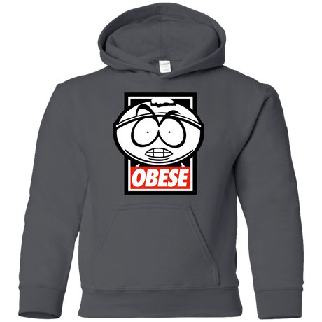 Sweatshirts Charcoal / YS Obese Youth Hoodie