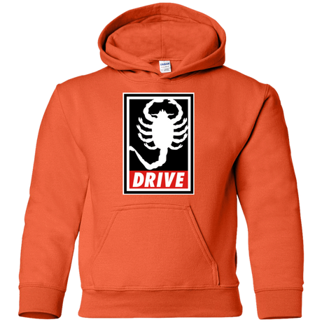 Sweatshirts Orange / YS Obey and drive Youth Hoodie