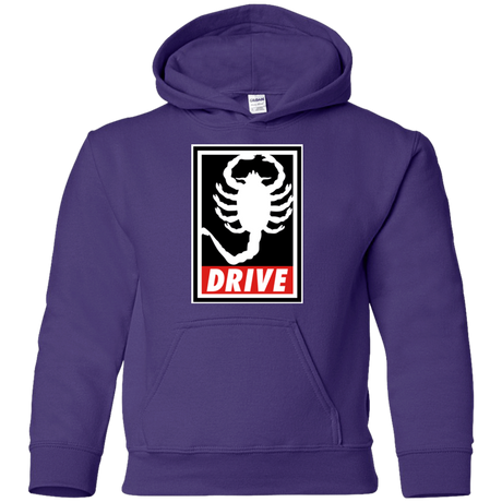 Sweatshirts Purple / YS Obey and drive Youth Hoodie